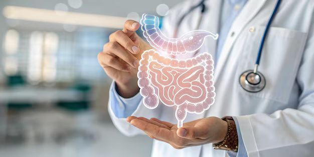 A Complete Guide to Understanding Digestive Health and Gut Function