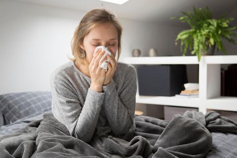Seasonal Allergies Information That Helps Reduce Symptoms and Discomfort